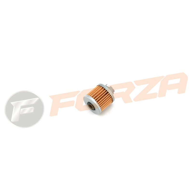 Daytona Engine Oil Filter – Suit Daytona Anima 150F, 190F Engine
