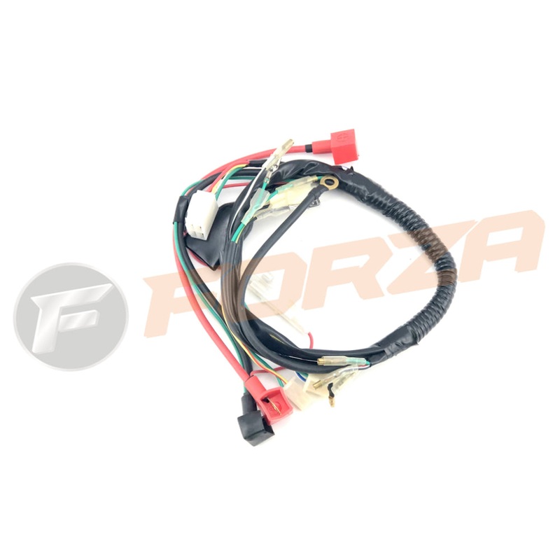 Pitsterpro Wire Loom – XJR70 (Electrical Start)