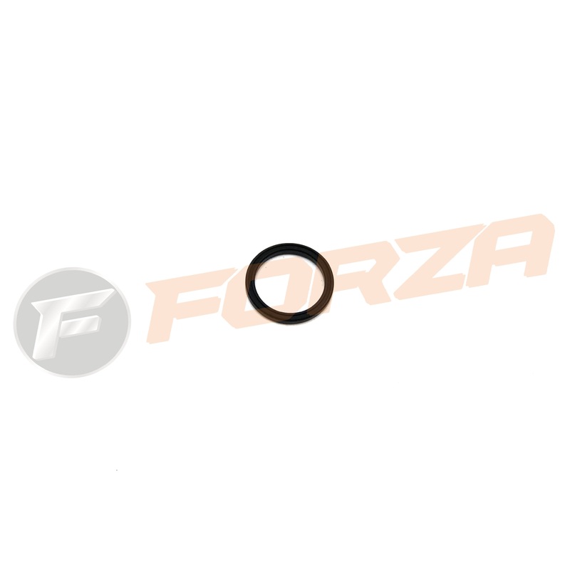 Capri 50 4T Lock Seal -Fuel Tank Sensor 2012 – NOW