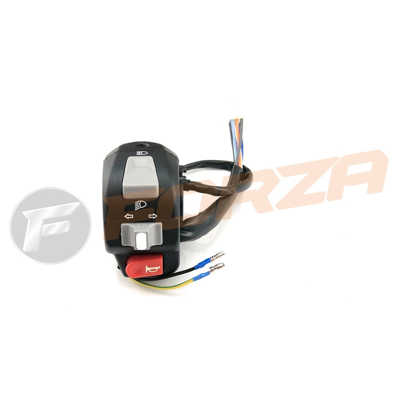 Ciclone 50 4T LH Switch Assy 2012 – NOW