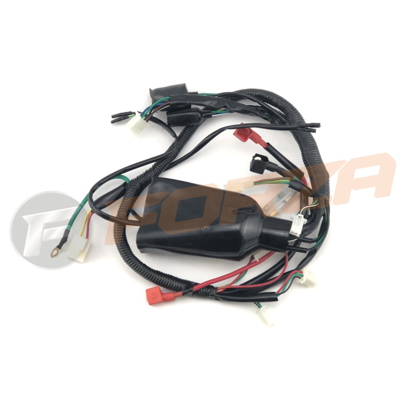 Warrior 70 ATV Wire Loom 2017 – 2018