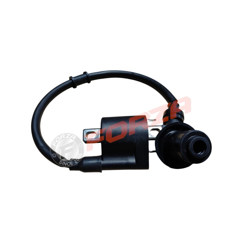 Classic 50 EFI  Ignition Coil|Colour N/A|Size N/A