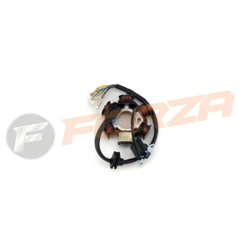 FMX 110 Magneto (Stator) Unit (ZS 110cc) 2012 – 2020