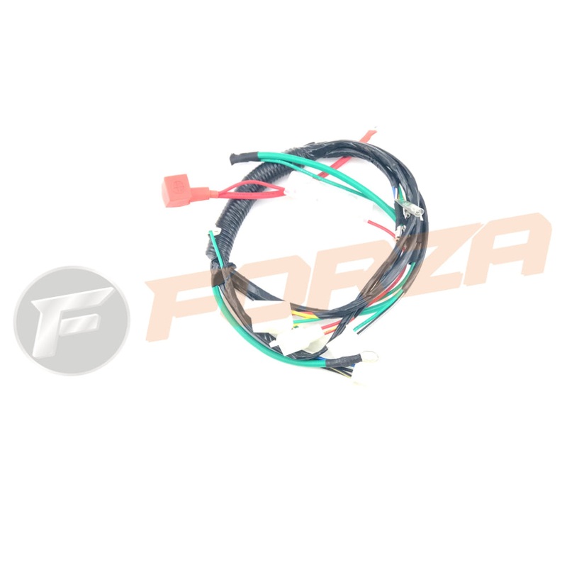FMX 110 Wire Loom (Electrical Start) 2012 – 2020