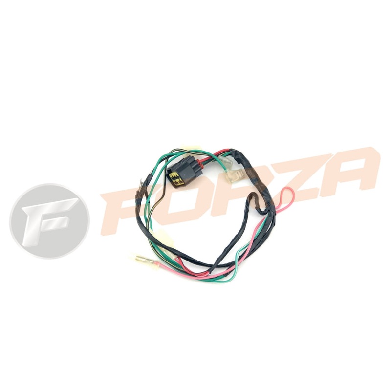 FMX 160BF FXR 155z  Wire Loom 2012 – NOW