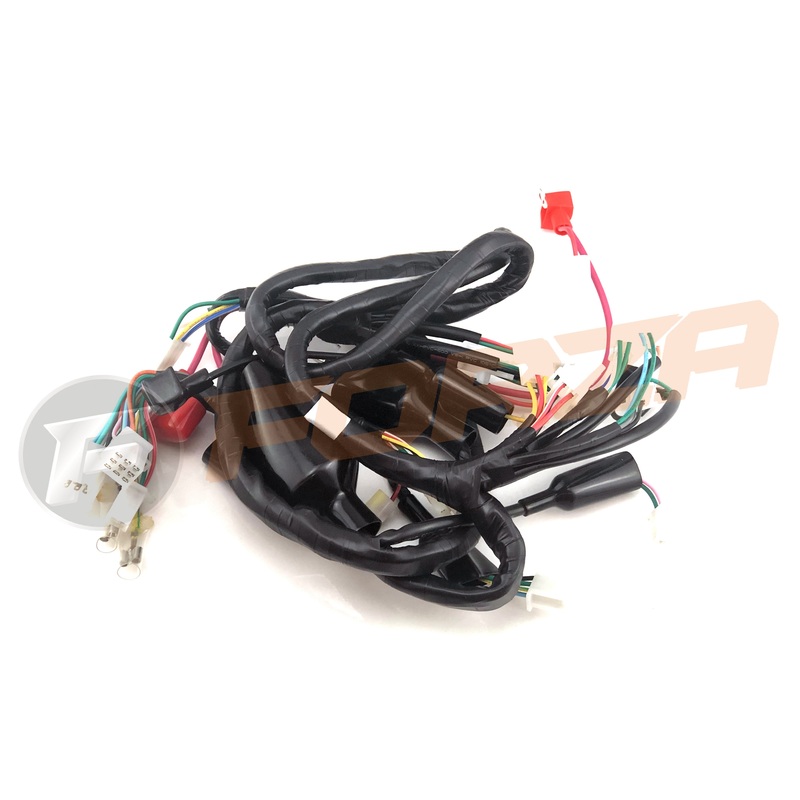 TNT Grido 2T Wire Harness (loom) 2012 – 2018