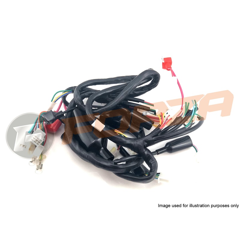 TNT Otto 50 2T Wire Harness (loom) 2012 – 2018