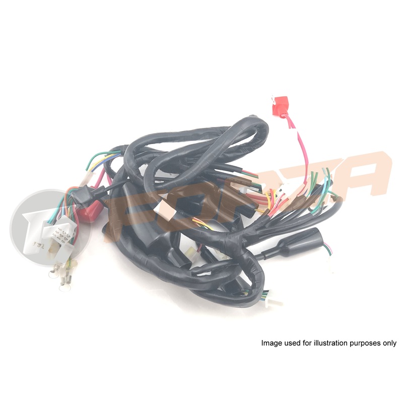 TNT Roma Sport 2T Wire Loom -w/ RH kill switch button 2015 – NOW