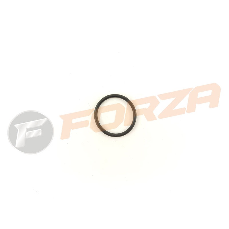 Ciclone Capri 50 Inlet Pipe O Ring Seal