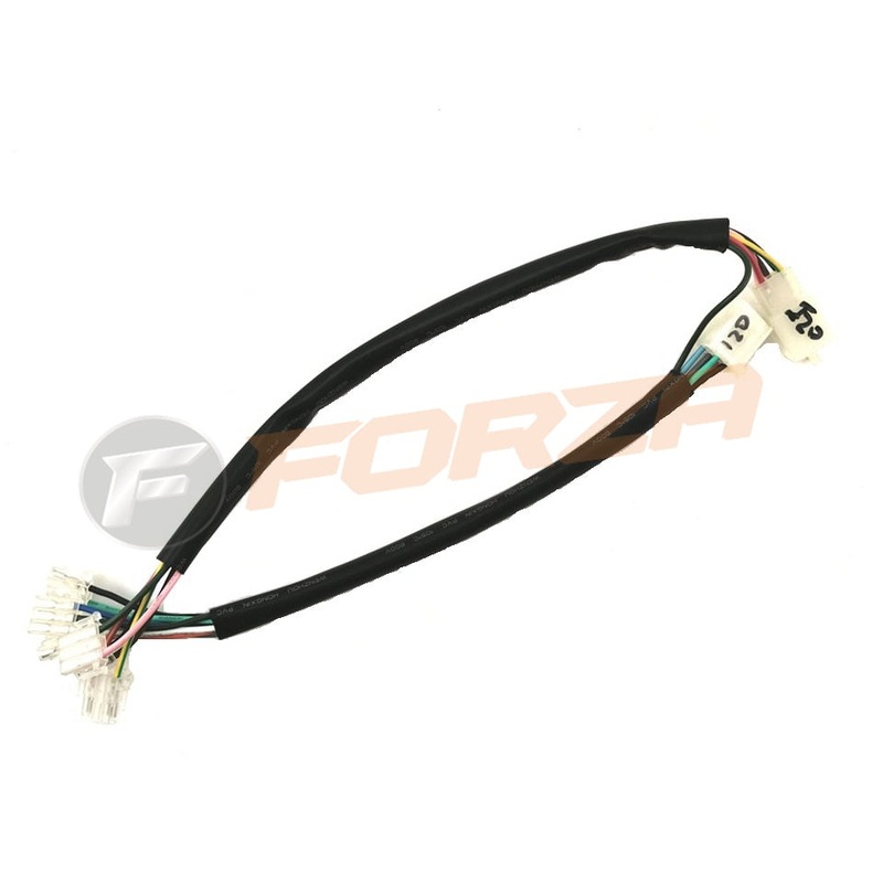 TNT Roma Sport 2T Wire Loom main -w/ RH headlight button 2015 – NOW