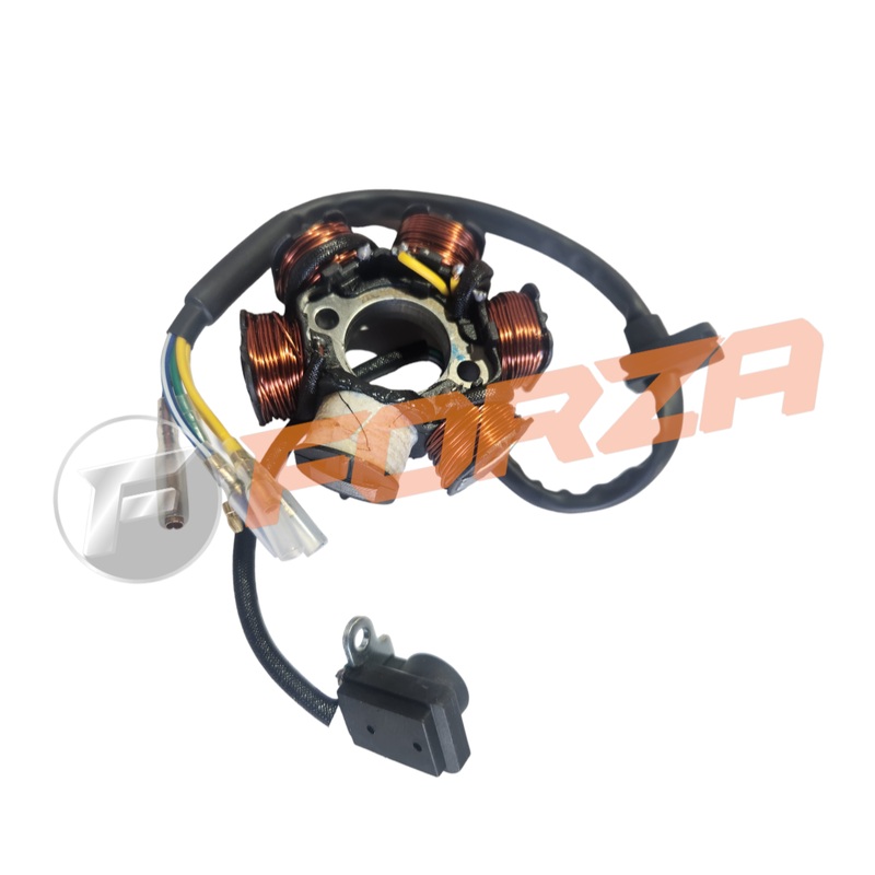 FXR190 Magneto (Stator) Unit 2012 – 2020