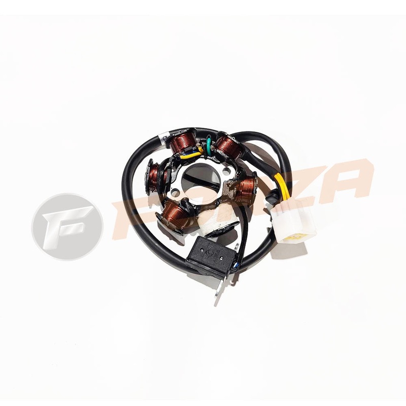 FMX 125 Magneto (Stator) Unit (YX 120cc) 2023 – NOW