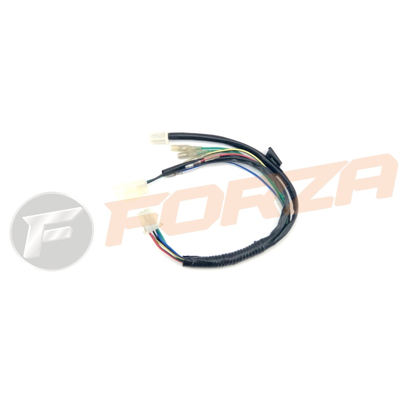 FMX125 140 140R Wire Loom 2008 – 2009