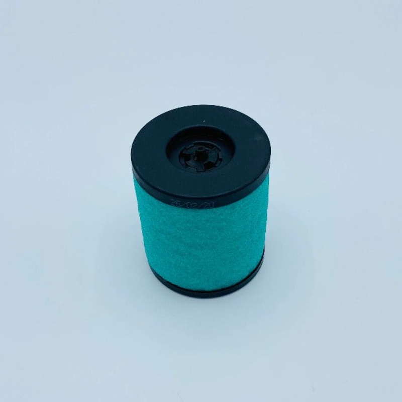 Edwards EMF20 Mist Element 22304199