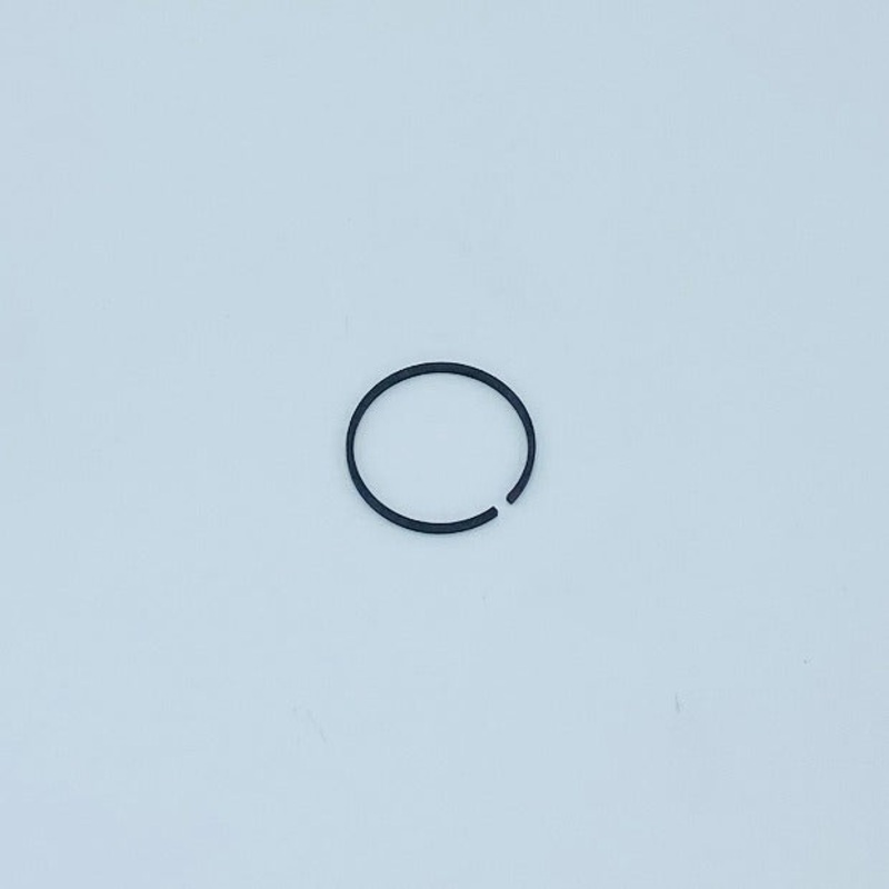 Leybold WS151 WS251 WA151 WA251 WA150 Piston Ring 23179256