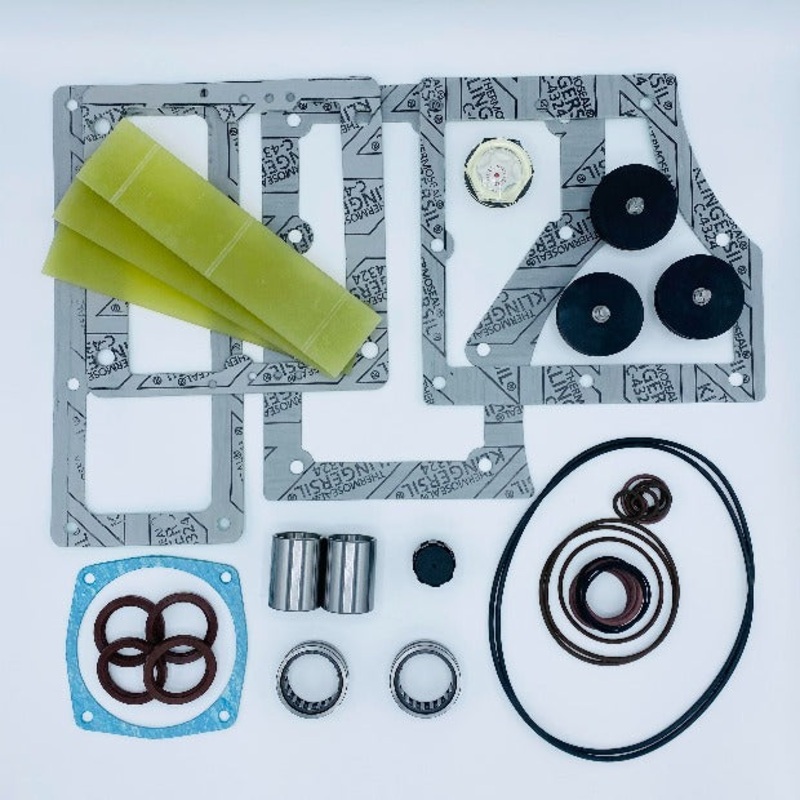 Busch 0255D 0305D Overhaul Kit w/o Filters. 0993.908.868 BMK018