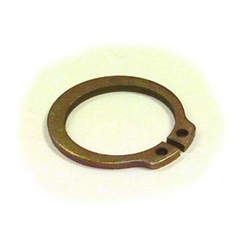 YL 500227907