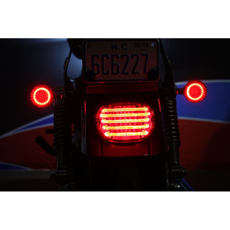 CUSTOM DYNAMICS Taillight – without License Plate Illumination Window – Red ProBEAM Low-Profile LED Taillight Kit  with No Tag Light