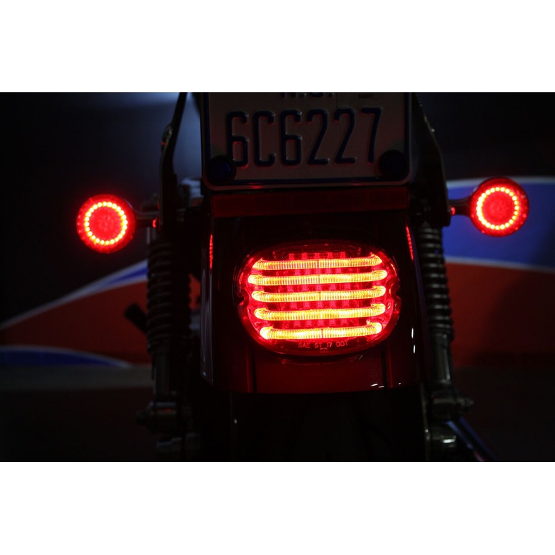 CUSTOM DYNAMICS Taillight – without License Plate Illumination Window – Smoke ProBEAM Low-Profile LED Taillight Kit  with No Tag Light