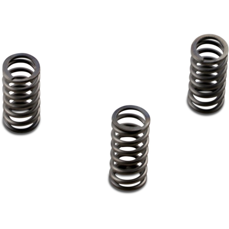 EBC Clutch Springs CSK Series Heavy Duty Clutch Spring Kit