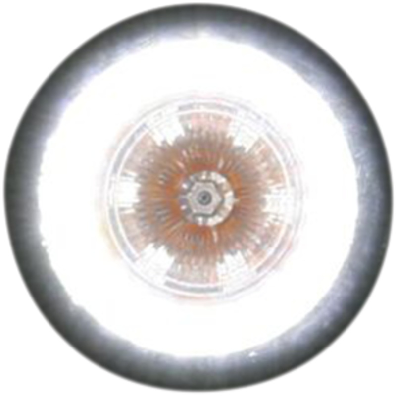 CUSTOM DYNAMICS ProBEAM Universal Turn Signals – Gloss Black/Clear ProBEAM Universal LED Bullet Bezel Turn Signals