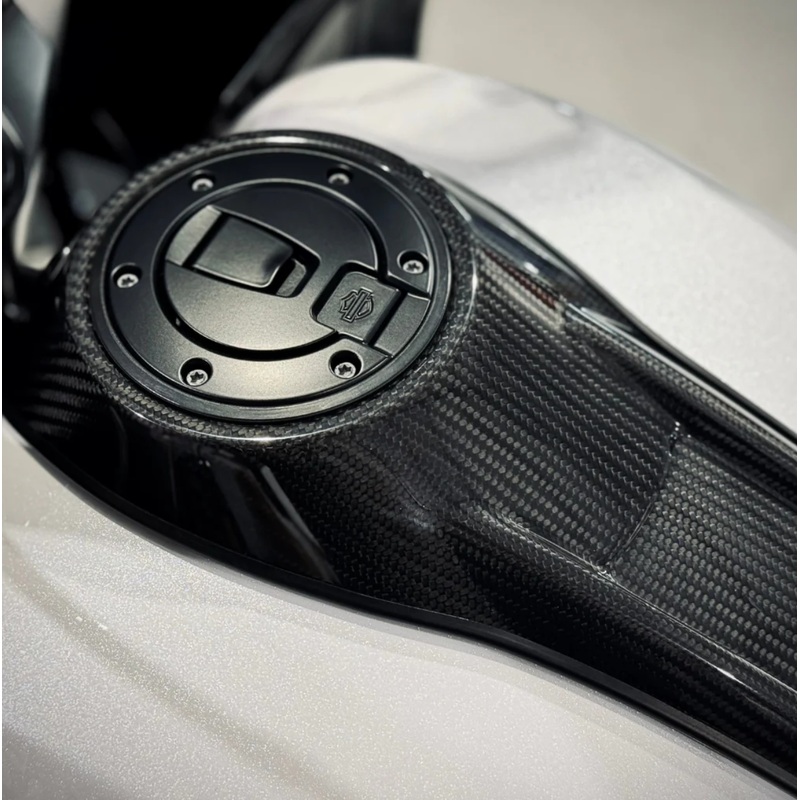 Blockhead Harley-Davidson Carbon Fiber Touring Dash (2024)