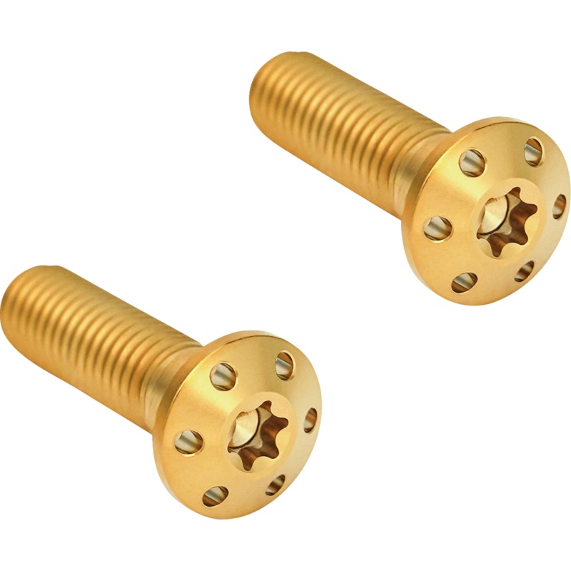 ARLEN NESS Mounting Bolts – Gold 300-919