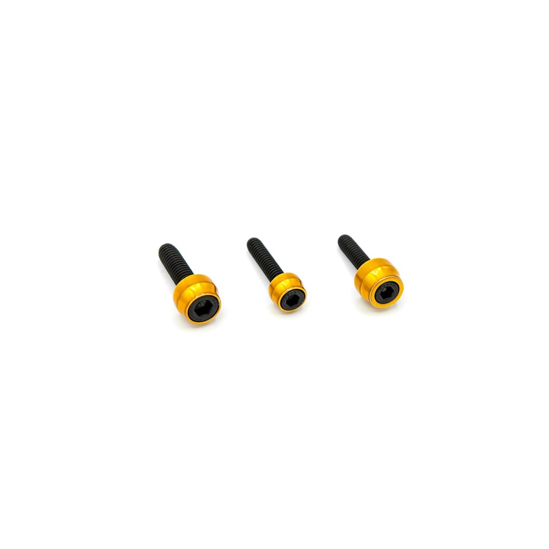 Chacho’s Bolt Kit Gold M8 Eng Trans Prim Blk